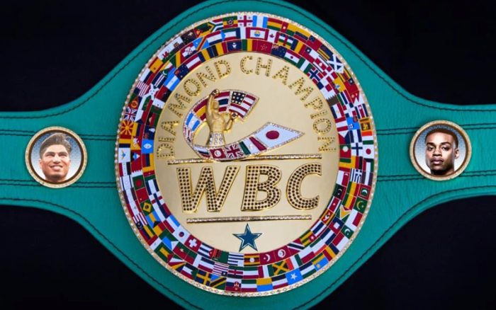 WBC се отказа да променя правилата в бокса