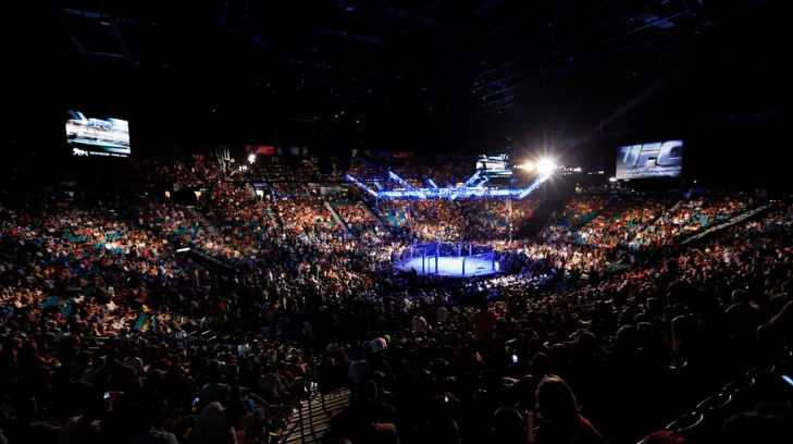 UFC няма да се излъчва в Нидерландия