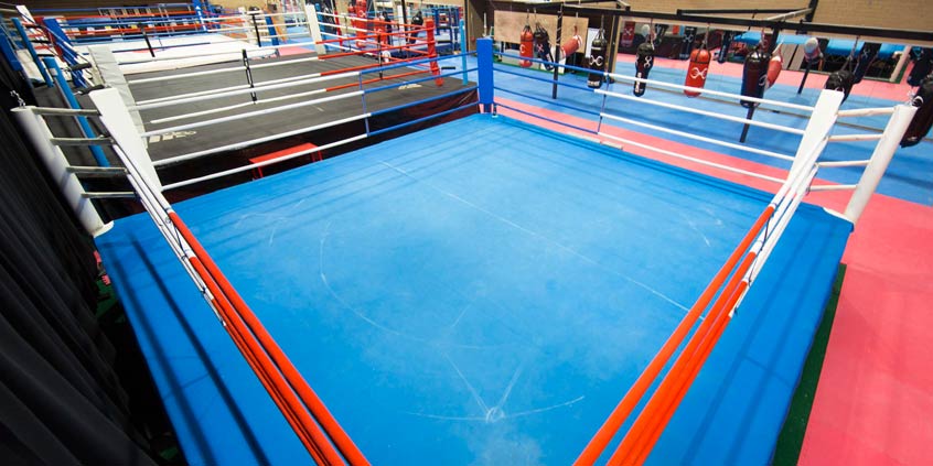 Япония отложи подновяването на бокса за юли