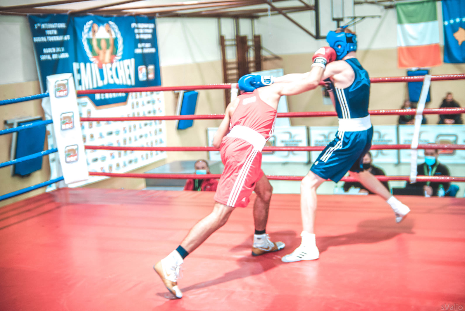 150 боксьори ще се срещнат на ринга в Пловдив