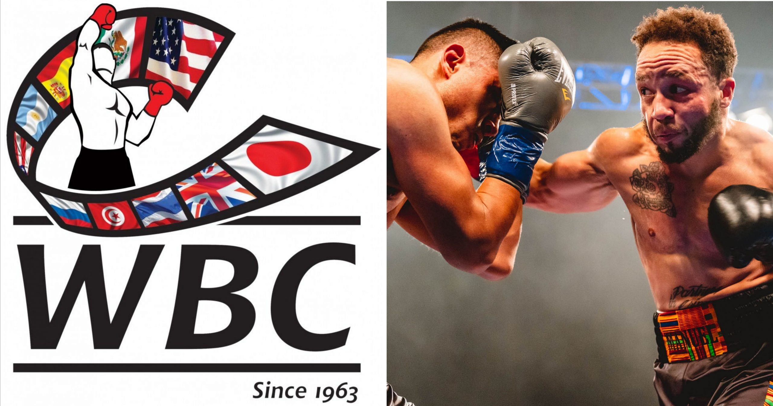 WBC отсъди за трансджендърите в бокса и ММА
