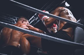 Снимка: Boec
