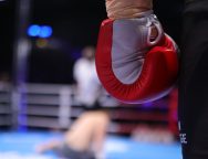 Снимка: SENSHI