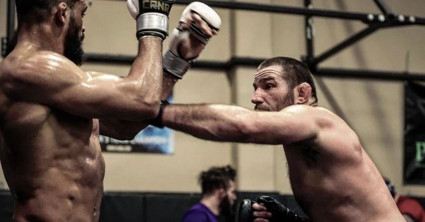 Стрикланд се нахвърли срещу Аник в защита на феновете на MMA