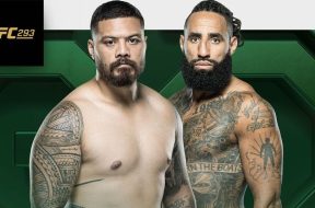 Снимка: UFC