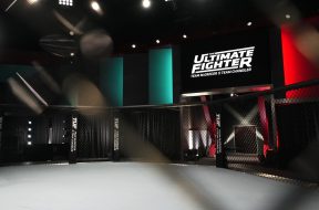 Снимка: UFC