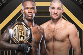 Снимка: UFC