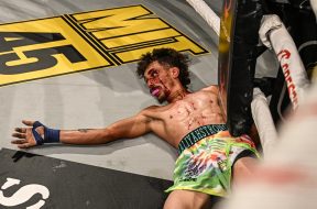 Снимка: BKFC