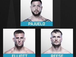 Снимка: UFC