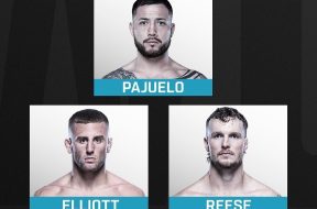 Снимка: UFC