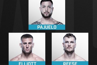 Снимка: UFC