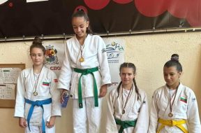 Снимка: Judo
