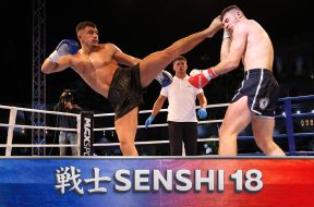 Снимка: SENSHI