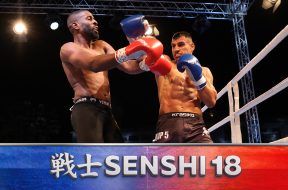Снимка: SENSHI