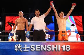 Снимка: SENSHI
