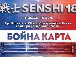 Снимка: SENSHI