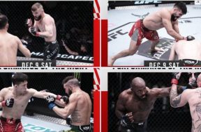 Снимка: UFC