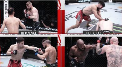 Снимка: UFC