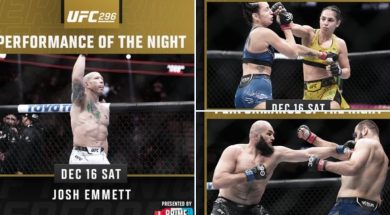 Снимка: UFC