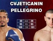 Снимка: SENSHI