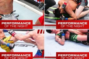 Снимка: UFC