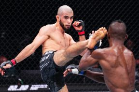 Снимка: UFC