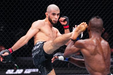 Снимка: UFC