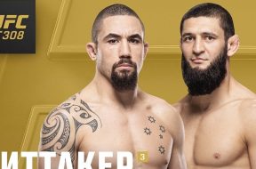 Снимка: UFC