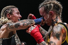 Снимка: BKFC