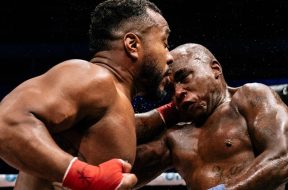 Снимка: BKFC