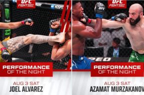 Снимка: UFC