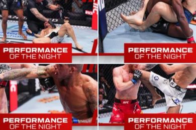 Снимка: UFC