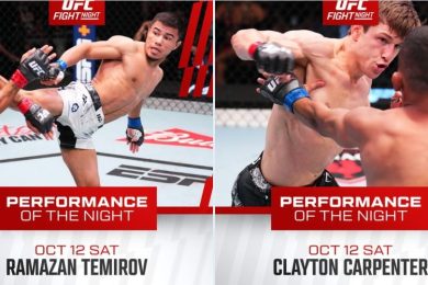 Снимка: UFC