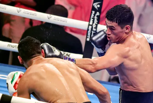 Еди Хърн: Бивол иска Канело, Бетербиев и Бенавидес