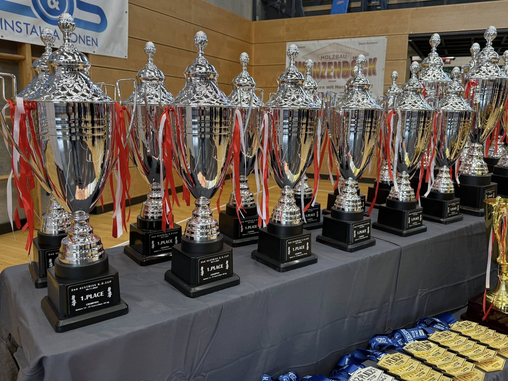 2nd Austrian K.O. Cup (IFK): Победители и отличия