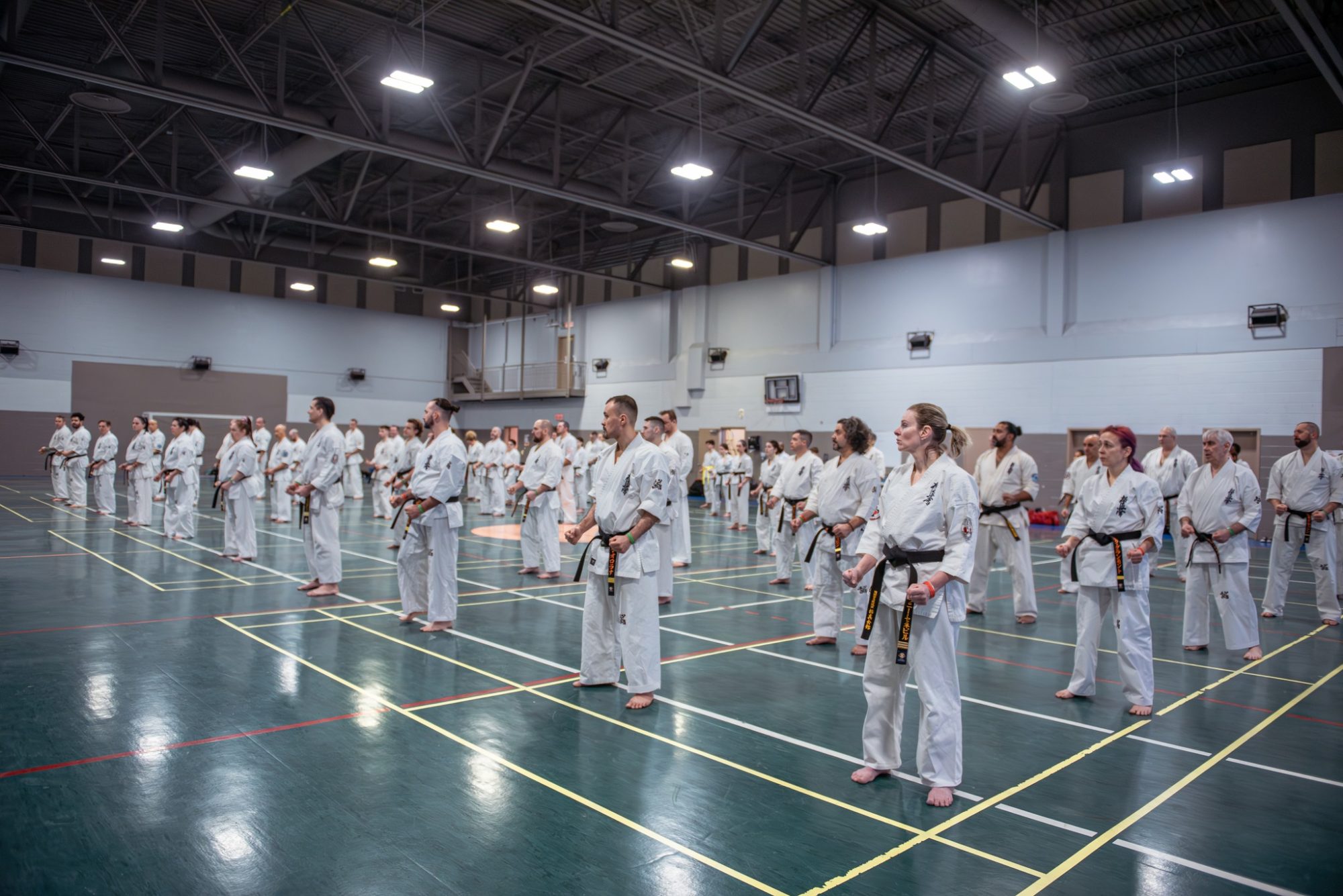 Силно представяне и успешни изпити за повишаване в Сао Пауло, Бразилия